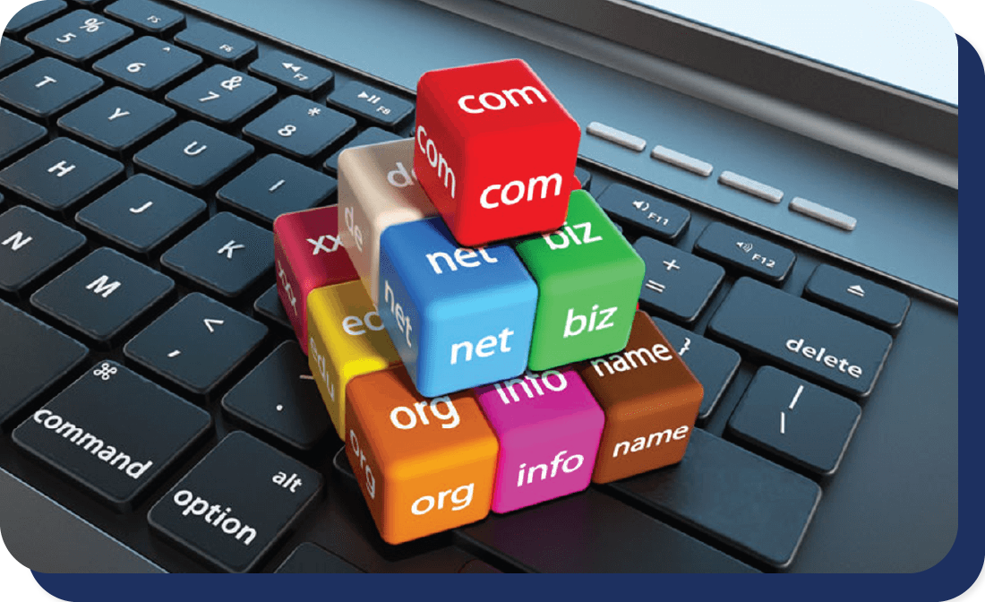 Domain registration and renewal services