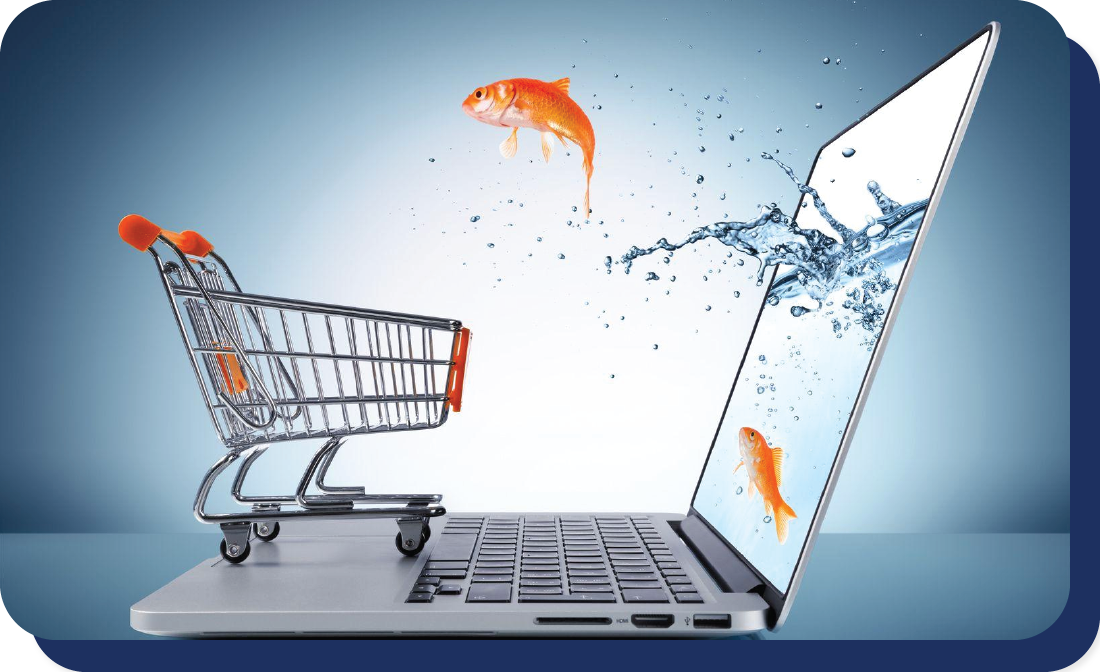 E-commerce solutions and development services